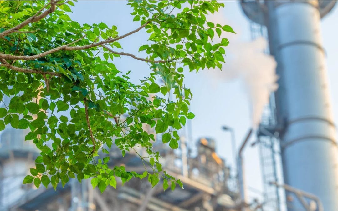 Eco-Friendly Power Solutions help Voltage Sags